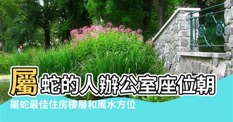 屬蛇樓層|【屬蛇樓層】屬蛇樓層風水指南：破解住錯層的厄運！